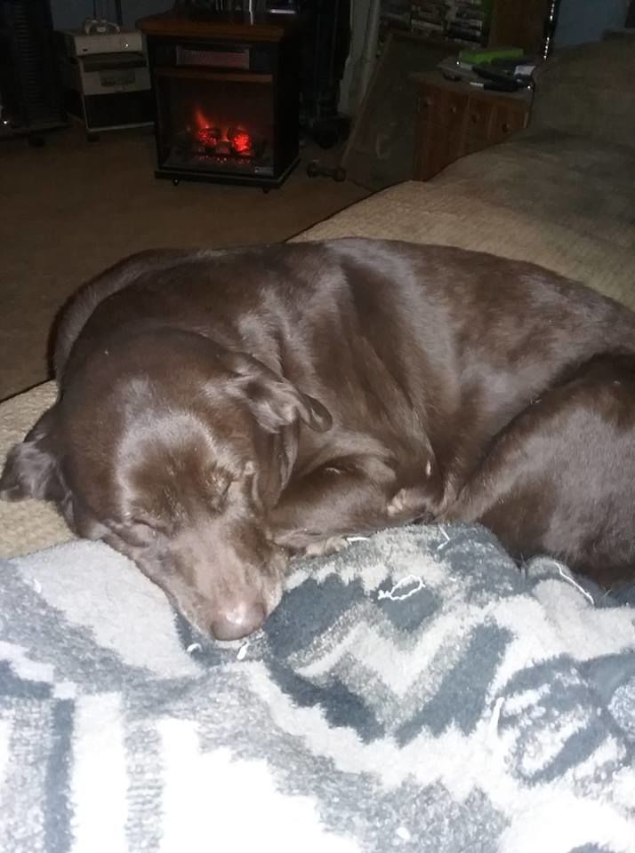 It's nap time !
